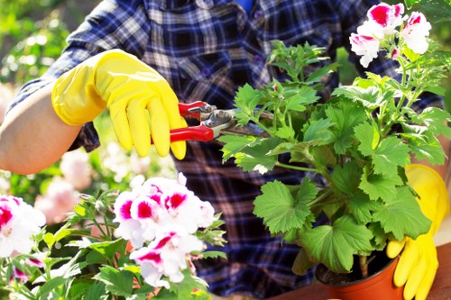 Gardeners working safely with tools in an outdoor space