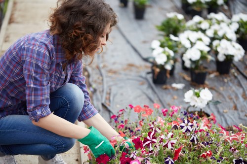 Charity reuse and recycling approach for surplus garden materials in Colindale