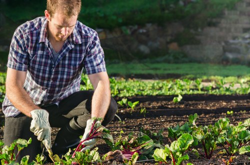 Waste and debris management after garden clearance