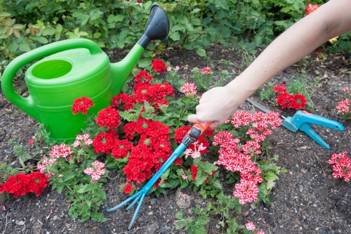 Illustration representing accessible Gardening Colindale website content