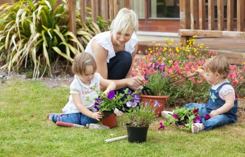 Professional garden maintenance in Colindale for healthy lawns and plants