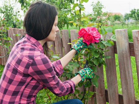 Supplier diligence and ethical labour checks