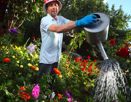 Illustration representing accessibility support for Gardeners Colindale users