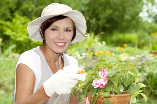 Local gardener providing hedge trimming and garden maintenance in Colindale