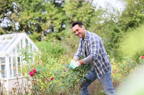 Garden waste removal work in a Colindale property