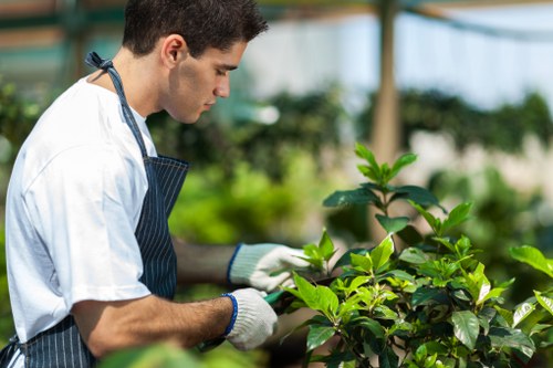 PPE and safety equipment used by gardeners in Colindale