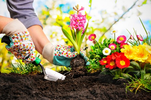 Professional gardeners in Colindale shaping shrubs and lawn edges