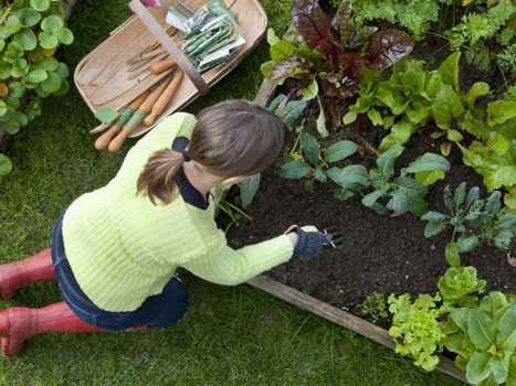 Professional grass cutting service in Colindale