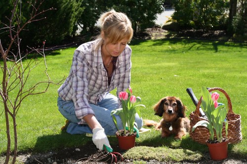 Commercial gardening services in Colindale for neat and professional outdoor areas