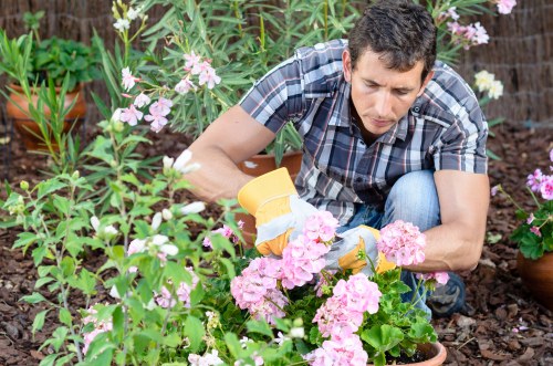 A professional garden service assessing a reported issue