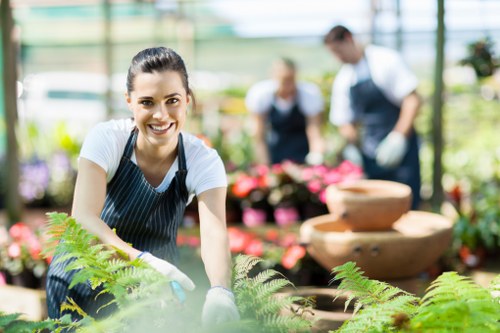 Professional garden maintenance tasks including hedge trimming and lawn care