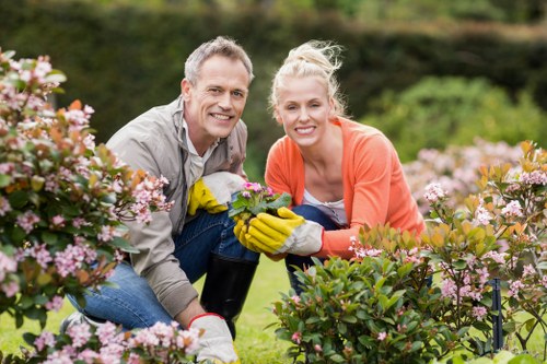 Colindale lawn maintenance scene showing soil and turf care