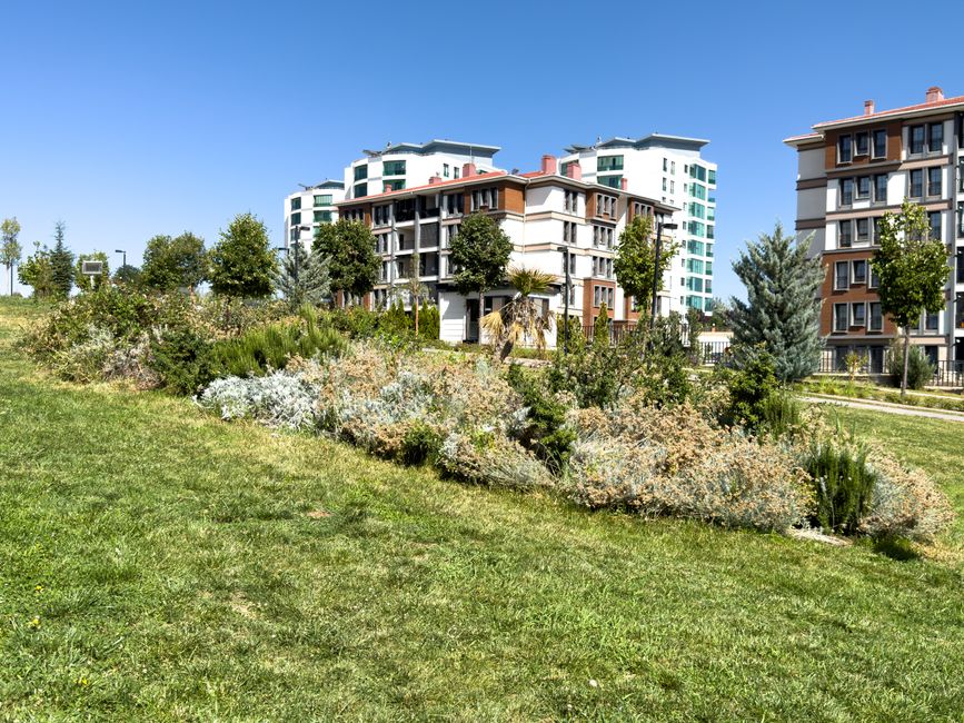 A spacious residential garden featuring a well-maintained, lush green lawn with neatly trimmed grass and a smooth, curved stone pathway leading to a set of small stairs that ascend towards the house.